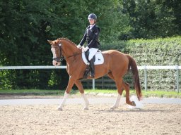 IMG_1159_web